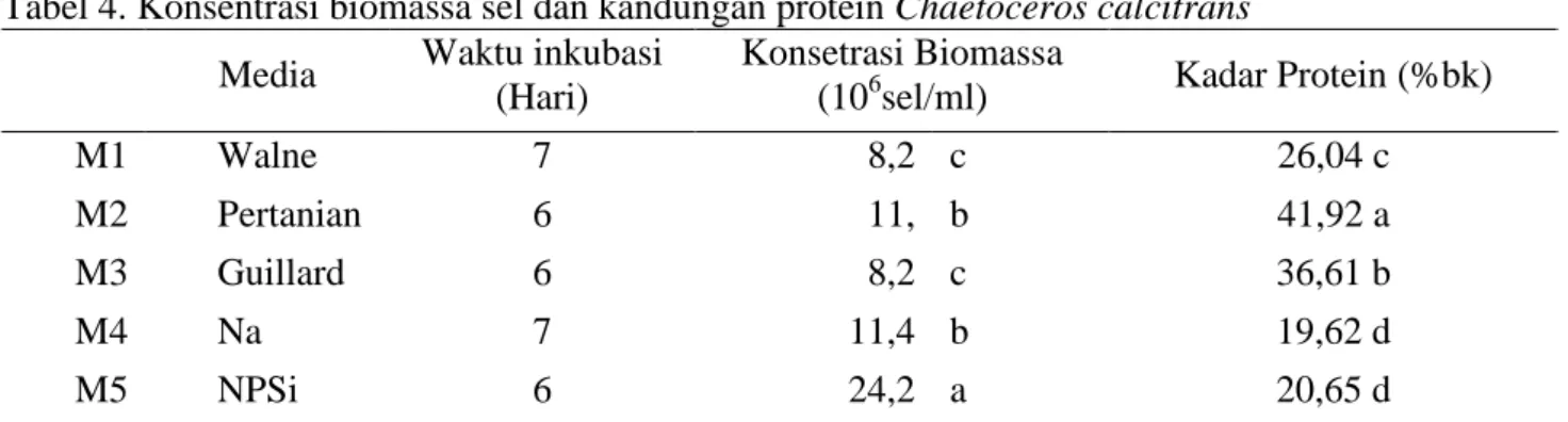 Tabel 4. Konsentrasi biomassa sel dan kandungan protein Chaetoceros calcitrans Media  Waktu inkubasi 