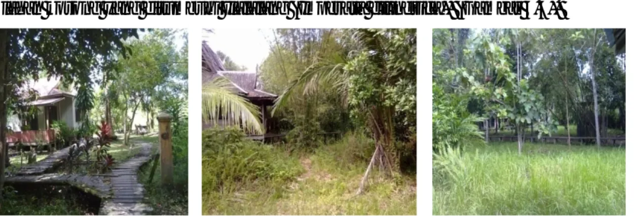 Gambar  4.4.  (1)  Lokasi  Perumahan  (2)  Bambuaceae  dan  Elaeis  guineensis,  dan (2) Imperata cilindrica