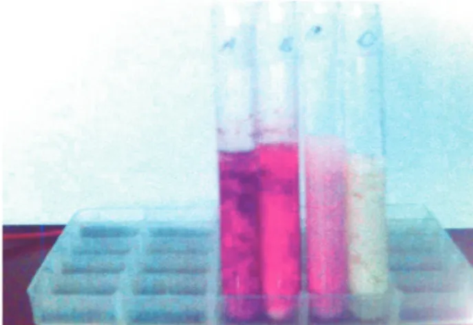 Gambar 3.  Tingkat perubahan warna pada beberapa tahu setelah ditetesi reagen FMR
