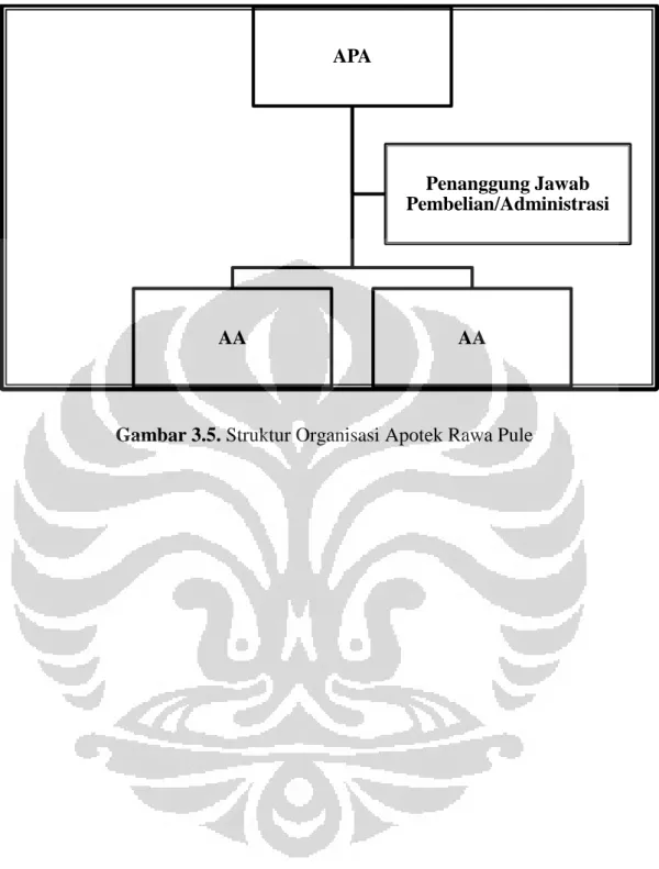 Gambar 3.5. Struktur Organisasi Apotek Rawa Pule APA