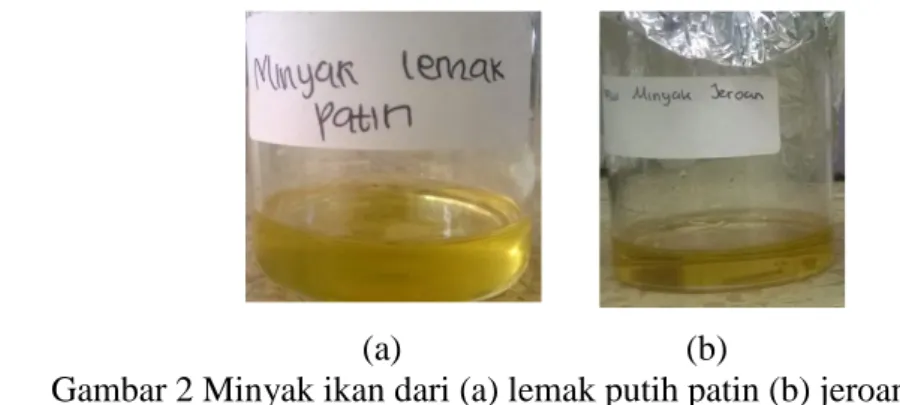 Gambar 2 Minyak ikan dari (a) lemak putih patin (b) jeroan patin. 