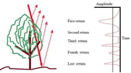 Gambar I. 3. Multiple return (Lohani, 2010)