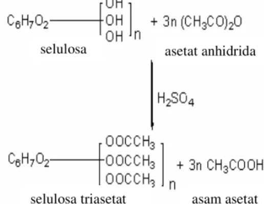Gambar 2  Reaksi asetilasi selulosa asetat                    (Anonim 2005). 