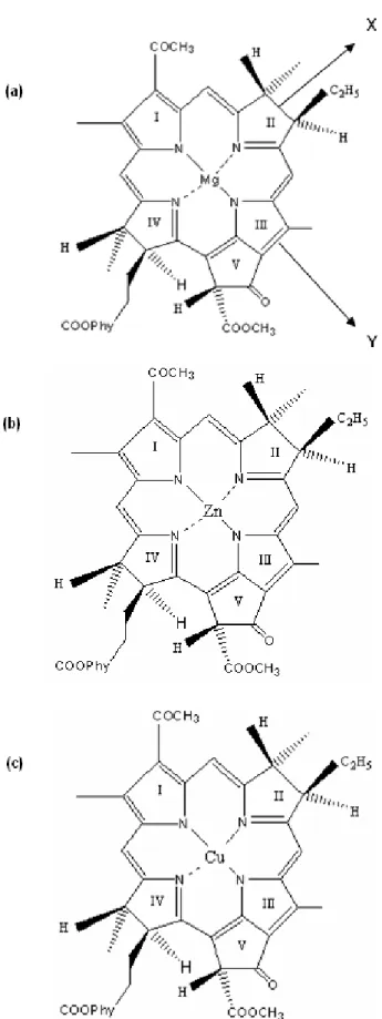 Gambar 2. Pola spectrum (A) Mg-BChl a, (B) Zn-BChl  a  dan  (C)  Cu-BChl  a  dalam  pelarut  aseton  (---)  dan  metanol (---).