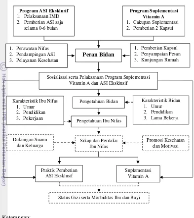 Gambar 1 Analisis peran bidan pada program suplementasi vitamin A dan praktik 