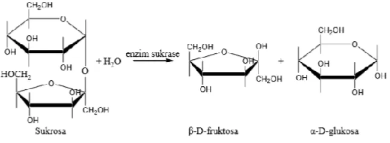 Gambar 1. Reaksi hidrolisis sukrosa 