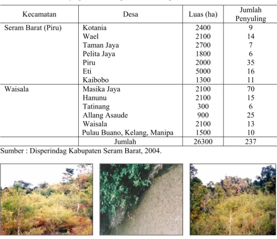 Tabel 1. Luas hutan kayu putih di Kabupaten Seram Bagian Barat 