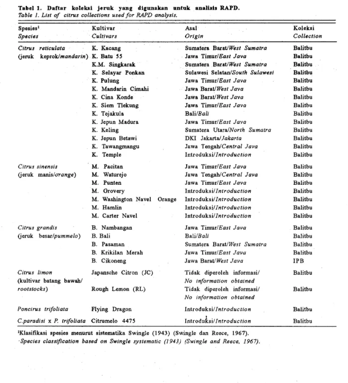 Table  I.  List  of  citrus  collections  used for  RAPD  analysis. 