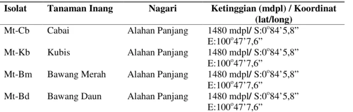 Tabel 1.  Sumber isolat Metarhizium spp. 