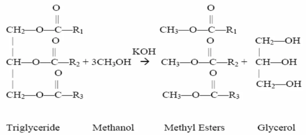 Gambar II. 3 Skema reaksi transesterifikasi trigliserid 