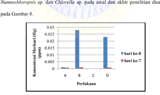 Gambar  8.  Grafik  konsentrasi  logam  berat  Merkuri  (Hg)  pada  media  kultur  Nannochloropsis   sp