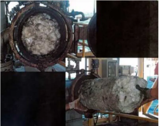 Gambar 2.1 Hydrate methane 