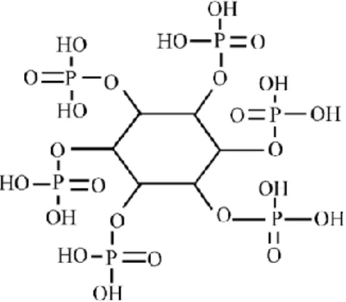 Gambar 1. Struktur kimia asam fitat  Sumber: Coulibaly et al. (2011) 