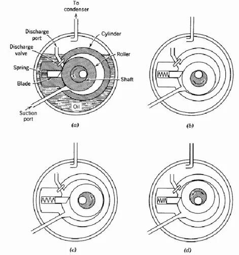 Gambar 2.2 Aksi Mekanik Rotary Compressor 