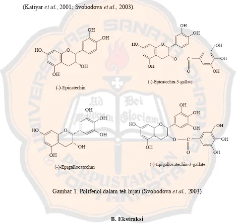 Gambar 1. Polifenol dalam teh hijau (Svobodova et al., 2003) 