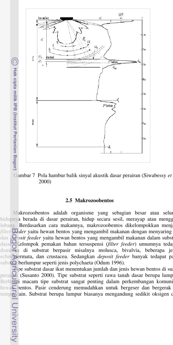 Gambar 7  Pola hambur balik sinyal akustik dasar perairan (Siwabessy et al.  