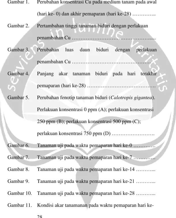 Gambar 3. Perubahan  luas  daun  biduri  dengan  perlakuan 