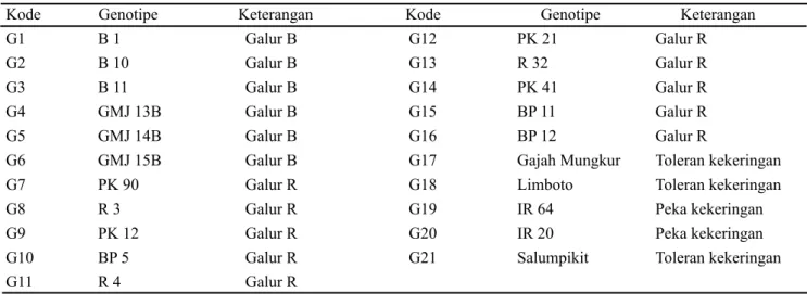 Tabel 1. Materi genetik skrining  PEG 6000 konsentrasi 25% pada fase perkecambahan
