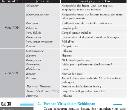 Tabel 2.1. Kelompok virus berdasarkan asam nukleatnya