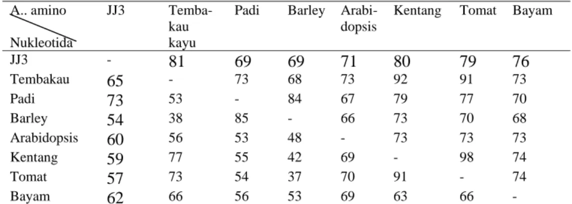Tabel 16 Matriks tingkat homologi (%) sekuen lengkap basa nukleotida dan asam  amino JJ3 dengan tanaman lain   