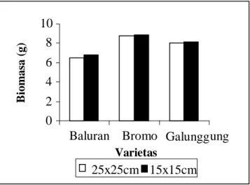 Gambar 5.  Intensitas cahaya matahari (a) dan biomasa (b) varietas Baluran pada umur 40 HST  Tetapi  bila  ditinjau  dari  pengukuran 