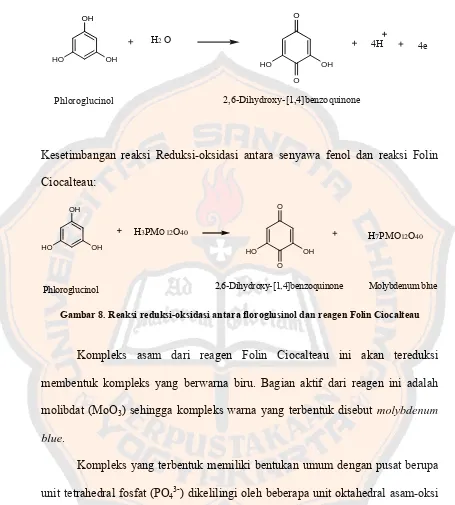 Gambar 8. Reaksi reduksi-oksidasi antara floroglusinol dan reagen Folin Ciocalteau 