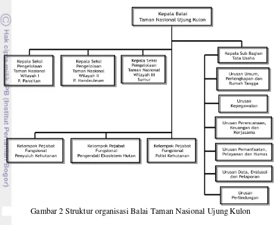 Gambar 2 Struktur organisasi Balai Taman Nasional Ujung Kulon 