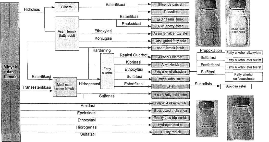 Gambar 10.  Diagram Oleokimia Dasar dan Turunannya 