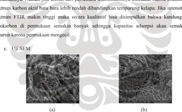 Gambar 2. Hasil Uji SEM dengan pembesaran 1000 kali: (a) batu bara dan (b) tempurung kelapa 