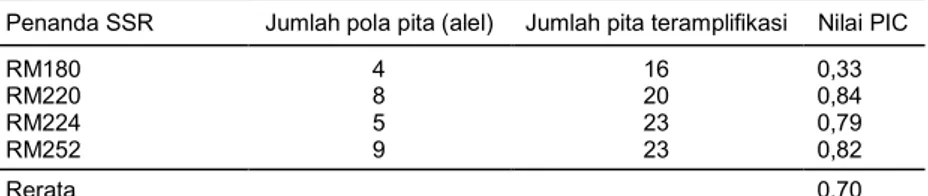 Tabel 3.  Data polimorfisme tiap penanda SSR yang digunakan. 