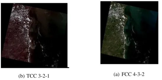 Gambar 4. Komposit Warna Citra Satelit Landsat Tahun 2016 