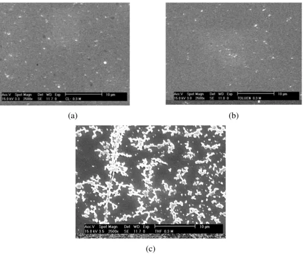 Gambar 6.  Foto SEM permukaan film tipis MEH-PPV yang di spin-casting dengan  larutan dengan konsentrasi 0.3 % dalam pelarut (a)