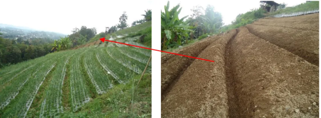 Gambar 3. Pembuatan Teras Saluran Pada Lereng Lebih dari 40%, di Dusun Munggur Desa  Girimulyo 