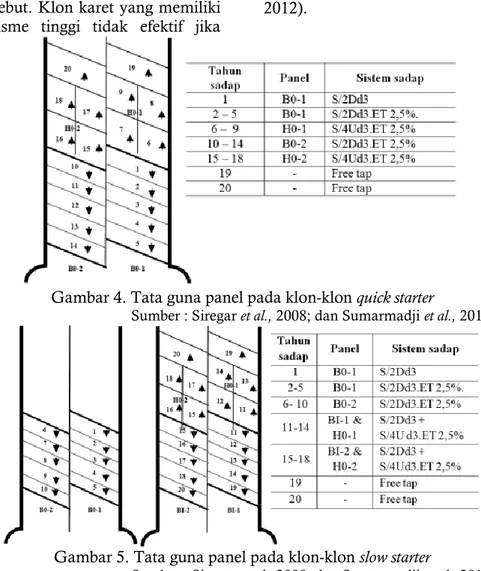 Gambar 4. Tata guna panel pada klon-klon quick starter 