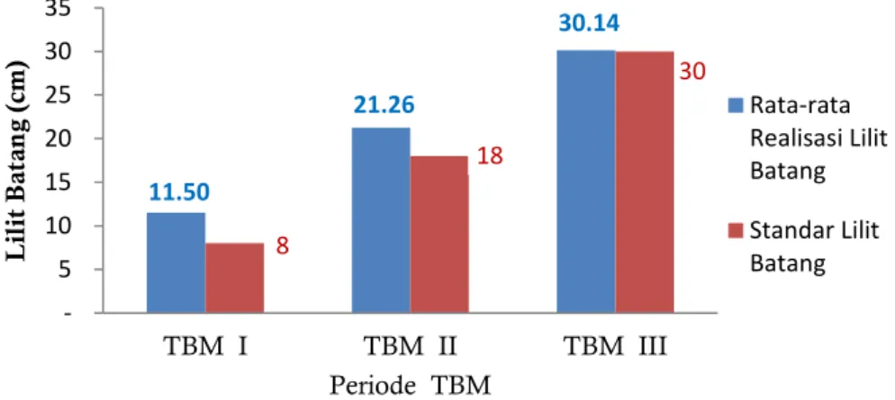 Gambar 6. Perbandingan lilit batang pada TBM setelah diterapkan paket teknologi  Sumber : Sutrisno, 2012 