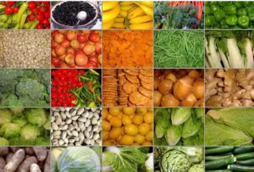 Gambar 2. Hasil Pertanian Hortikultura  Sumber: https://ekonomi.bisnis.com 