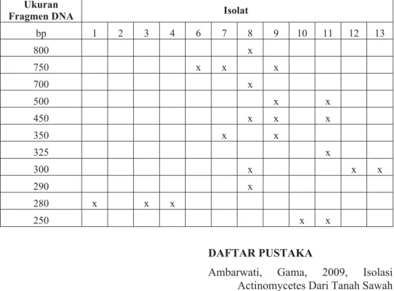 Tabel II. Ukuran Fragmen DNA Hasil Pemotongan Gen NRPS Isolat Actinomycetes oleh Enzim HaeIII