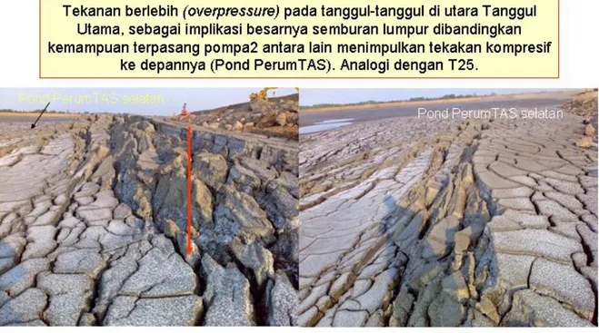 Gambar 56. Sedimen terdeformasi menyerupai prisma akrasi (accretion wedge), sebagai indikasi bahwa  Pond Utama telah mengalami tekanan horizontal yang berlebih ke titik lemah di utaranya