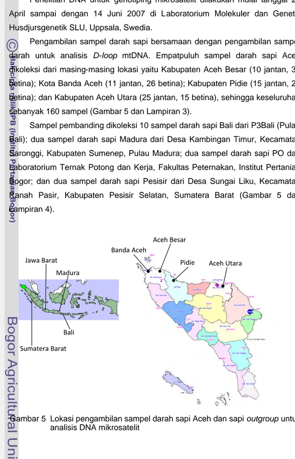 Gambar 5 Lokasi pengambilan sampel darah sapi Aceh dan sapi outgroup untuk analisis DNA mikrosatelit