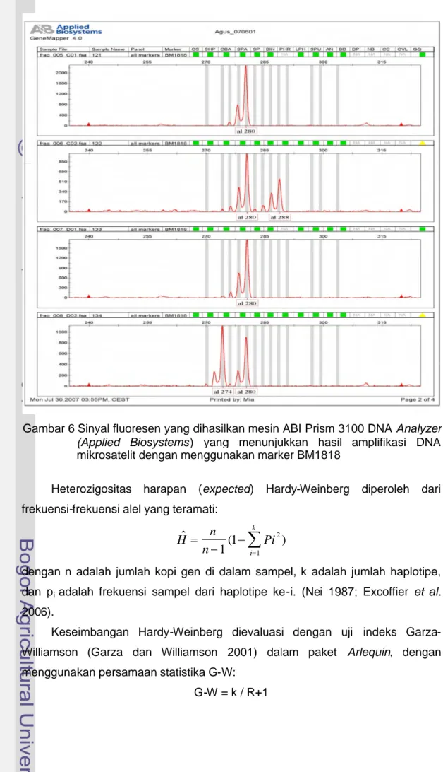 Gambar 6 Sinyal fluoresen yang dihasilkan mesin ABI Prism 3100 DNA Analyzer (Applied Biosystems) yang menunjukkan hasil amplifikasi DNA mikrosatelit dengan menggunakan marker BM1818