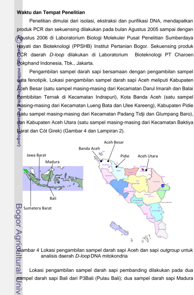 Gambar 4 Lokasi pengambilan sampel darah sapi Aceh dan sapi outgroup untuk analisis daerah D-loop DNA mitokondria