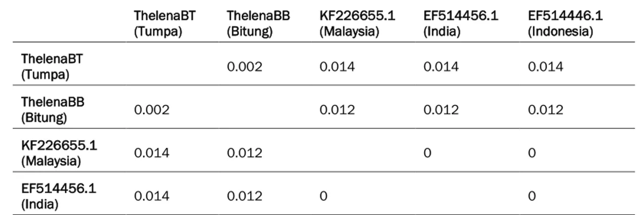 Tabel 1.  Matriks  p-distance  sekuens  gen  COI  Troides  helena  Sampel  ThelenaBT  dan  ThelenaBB  dengan  kerabat dekatnya dari GenBank