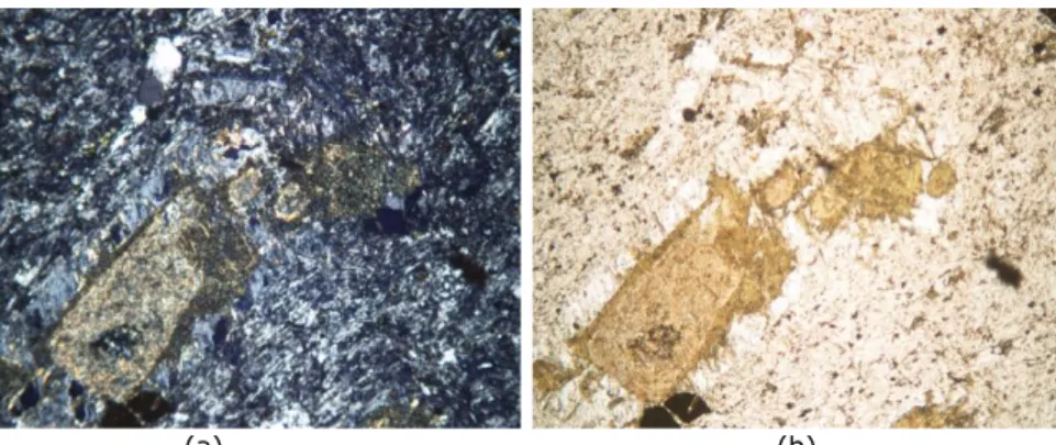 Gambar 5.  Fotomikrograf contoh GPS-08, memperlihatkan fenokris plagioklas yang hadir sebagai  mineral pseudomorf  (serisit-karbonat-mineral lempung (a