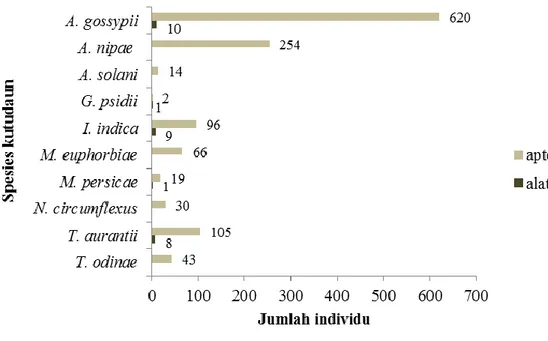 Gambar  2    Jenis  kutudaun  dan  jumlah  individu  bersayap  (alatae)  dan  tidak  bersayap (aptera) yang ditemukan di Bogor dan Cianjur
