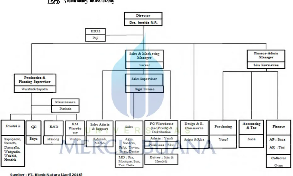 Gambar 2.8 Gambar Struktur Organisasi PT. Bionic Natura