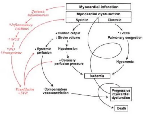 Gambar 2.4. Paradigma klasik syok (Hochman, 2003) 