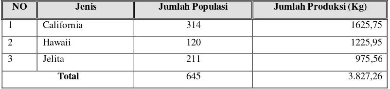 Tabel 5 Jumlah Produksi Pepaya PT. Cipta Daya Agri Jaya Tahun 2005 