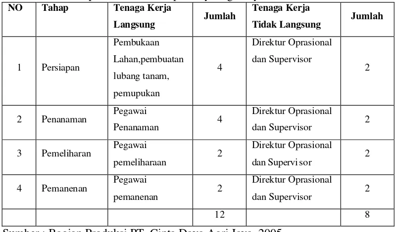 Tabel 7. Tenaga Kerja Langsung dan Tidak Langsung Pada Tiap-Tiap Tahap Produksi PT. Cipta Daya Agri Jaya Tahun 2005 
