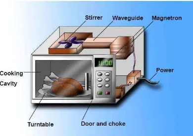 Gambar 3. Proses Pemasakan dengan Microwave Oven (Guillen, 2011) 