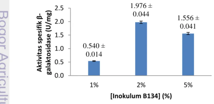 Gambar 1 Pengaruh Inokulum B134 terhadap aktivitas spesifik   β-galaktosidase dari isolat BAL strain B134 